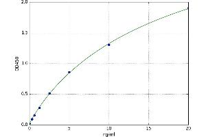 Protein Kinase C, alpha (PKCa) ELISA Kit