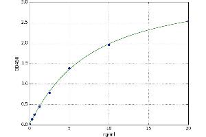 A typical standard curve