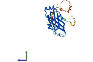AlphaFold protein structure predicition of Human Recombinant UNC119 Protein, UniprotID Q13432