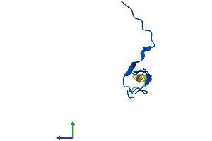 AlphaFold protein structure predicition of Human Recombinant POLR2K Protein, UniprotID P53803