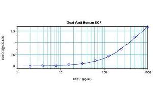 Image no. 3 for anti-KIT Ligand (KITLG) antibody (ABIN1500815) (KIT Ligand anticorps)