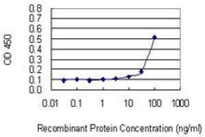Detection limit for recombinant GST tagged ZNF253 is 3 ng/ml as a capture antibody. (ZNF253 anticorps  (AA 91-180))