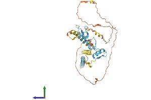 AlphaFold protein structure predicition of Human Recombinant ZNF367 Protein, UniprotID Q7RTV3