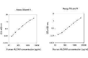 ELISA image for Activated Leukocyte Cell Adhesion Molecule (ALCAM) ELISA Kit (ABIN1979854) (CD166 Kit ELISA)