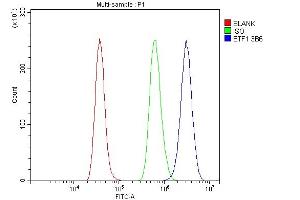 Flow Cytometry analysis of RH35 cells using anti- eRF1/ETF1 antibody (ABIN7602625). (ETF1 anticorps  (AA 9-342))