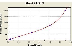 Diagramm of the ELISA kit to detect Mouse GAL3with the optical density on the x-axis and the concentration on the y-axis.