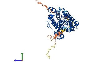 AlphaFold protein structure predicition of Mouse Recombinant Rrm2b Protein, UniprotID Q6PEE3