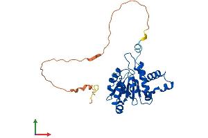 AlphaFold protein structure predicition of Mouse Recombinant Cmss1 Protein, UniprotID Q9CZT6