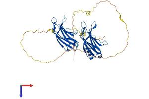 AlphaFold protein structure predicition of Mouse Recombinant Doc2b Protein, UniprotID P70169