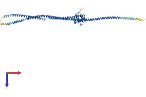 AlphaFold protein structure predicition of Human Recombinant NUF2 Protein, UniprotID Q9BZD4