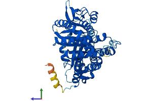 AlphaFold protein structure predicition of Human Recombinant TUBB4B Protein, UniprotID P68371