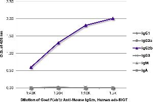 ELISA plate was coated with purified mouse IgG1, IgG2a, IgG2b, IgG3, IgM, and IgA. (Chèvre anti-Souris IgG2b Anticorps (Biotin) - Preadsorbed)