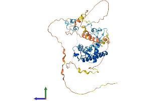 AlphaFold protein structure predicition of Human Recombinant MKRN1 Protein, UniprotID Q9UHC7