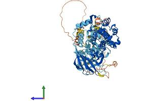 AlphaFold protein structure predicition of Human Recombinant RPS6KA3 Protein, UniprotID P51812