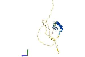AlphaFold protein structure predicition of Human Recombinant TGIF2LY Protein, UniprotID Q8IUE0