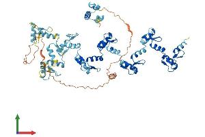 AlphaFold protein structure predicition of Human Recombinant ZNF540 Protein, UniprotID Q8NDQ6