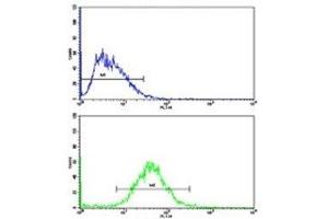 Flow cytometric analysis of HepG2 cells using Cyclin A2 antibody (bottom histogram) compared to a negative control (top histogram).