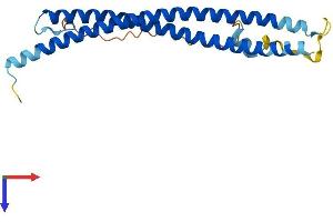 AlphaFold protein structure predicition of Mouse Recombinant Snap23 Protein, UniprotID O09044