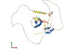 AlphaFold protein structure predicition of Mouse Recombinant Pou4f1 Protein, UniprotID P17208
