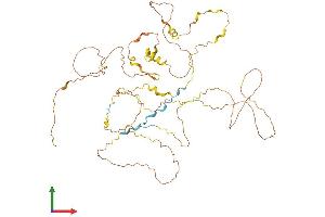 AlphaFold protein structure predicition of Mouse Recombinant Rai2 Protein, UniprotID Q9QVY8