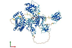 AlphaFold protein structure predicition of Human Recombinant VAV3 Protein, UniprotID Q9UKW4
