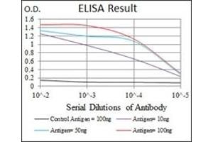 ELISA image for anti-Low Density Lipoprotein Receptor-Related Protein 5 (LRP5) antibody (ABIN1108063)