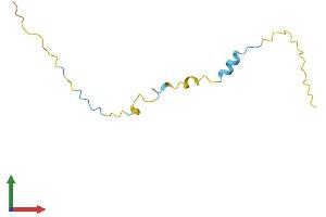 AlphaFold protein structure predicition of Mouse Recombinant Pkib Protein, UniprotID Q04758