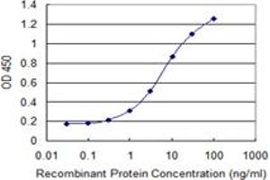 Detection limit for recombinant GST tagged PCDHA7 is 0. (PCDHA7 anticorps  (AA 143-241))