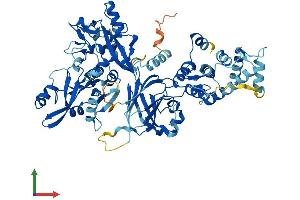 AlphaFold protein structure predicition of Mouse Recombinant Capn11 Protein, UniprotID Q6J756