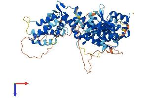 AlphaFold protein structure predicition of Human Recombinant RAPGEF5 Protein, UniprotID Q92565