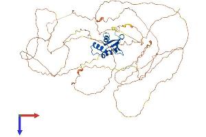 AlphaFold protein structure predicition of Human Recombinant ELF4 Protein, UniprotID Q99607