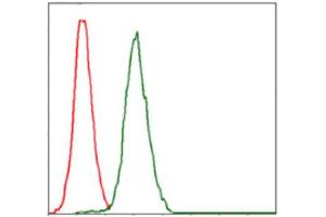 Flow Cytometry (FACS) image for anti-Replication Protein A1, 70kDa (RPA1) antibody (ABIN1846411) (RPA1 anticorps)