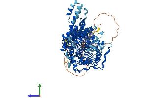 AlphaFold protein structure predicition of Human Recombinant TTC13 Protein, UniprotID Q8NBP0