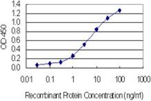 Detection limit for recombinant GST tagged SSX4 is 0.