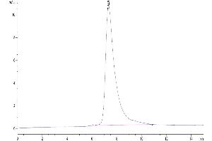 The purity of Rat TROP-2 is greater than 95 % as determined by SEC-HPLC.