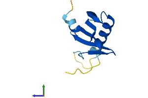 AlphaFold protein structure predicition of Mouse Recombinant Lamtor4 Protein, UniprotID Q8CF66