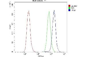 Flow Cytometry analysis of A431 cells using anti-TANK antibody (ABIN6719508). (TANK anticorps)
