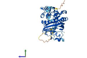 AlphaFold protein structure predicition of Human Recombinant SAE1 Protein, UniprotID Q9UBE0