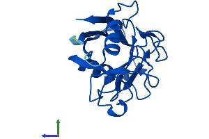 AlphaFold protein structure predicition of Human Recombinant PPIAL4A Protein, UniprotID Q9Y536