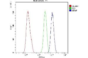Flow Cytometry analysis of SiHa cells using anti-ARAF antibody (ABIN6719439).