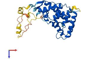 AlphaFold protein structure predicition of Human Recombinant NR0B2 Protein, UniprotID Q15466