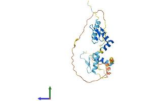 AlphaFold protein structure predicition of Human Recombinant SCNM1 Protein, UniprotID Q9BWG6