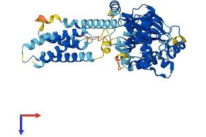 AlphaFold protein structure predicition of Mouse Recombinant Mlkl Protein, UniprotID Q9D2Y4