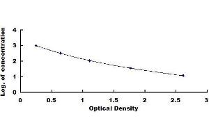 Neurokinin A ELISA Kit