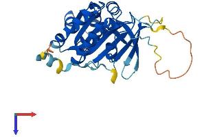 AlphaFold protein structure predicition of Human Recombinant XRCC2 Protein, UniprotID O43543