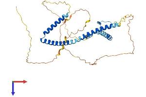 AlphaFold protein structure predicition of Mouse Recombinant Hexim1 Protein, UniprotID Q8R409