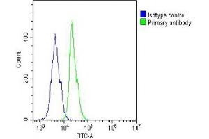 Overlay histogram showing A431 cells stained with (ABIN388105 and ABIN2846220) (green line).