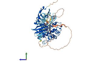 AlphaFold protein structure predicition of Mouse Recombinant Camk2b Protein, UniprotID P28652