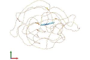AlphaFold protein structure predicition of Mouse Recombinant Fscb Protein, UniprotID A1EGX6