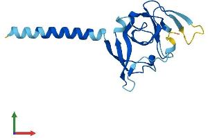 AlphaFold protein structure predicition of Mouse Recombinant Immp1l Protein, UniprotID Q9CQU8